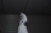 DSC_0872.JPG (1853653 bytes)