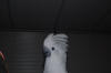 DSC_0873.JPG (1822174 bytes)